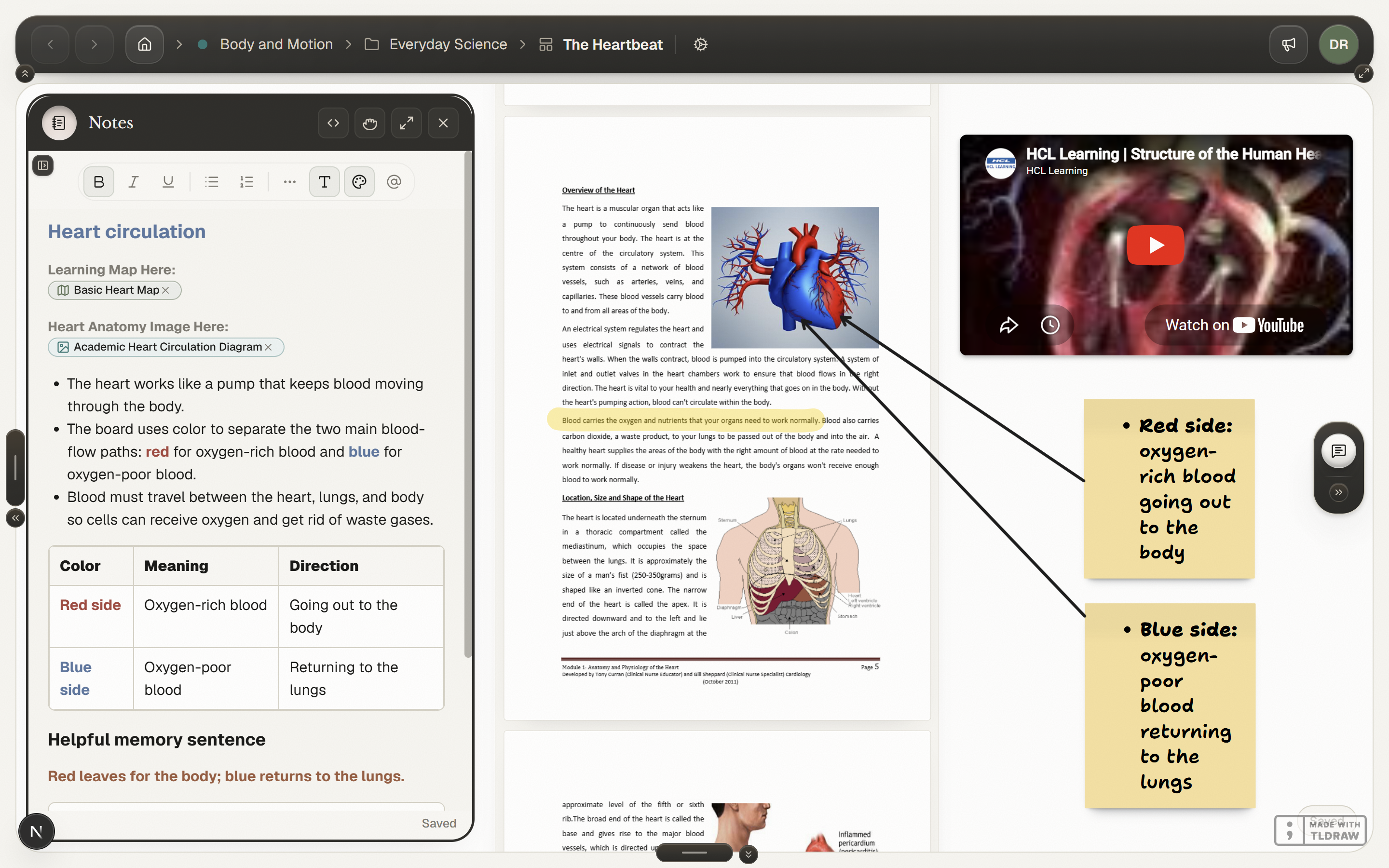The Mesh Learning workspace — notes, the board, a video, and a map open together on one screen.